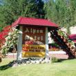 Welcome to the Alpen Motel