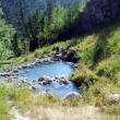The Area (14)