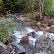 Creek
